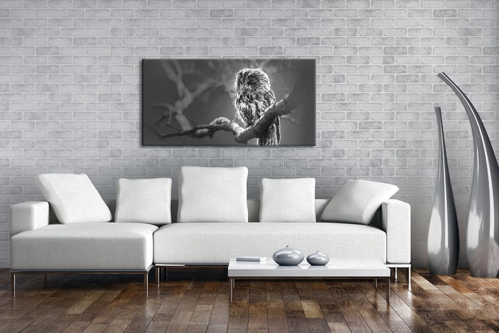 deyoli Lauernde Eule Panorama 120x60 cm Effekt: Schwarz/Weiss als Leinwandbild, Motiv fertig gerahmt