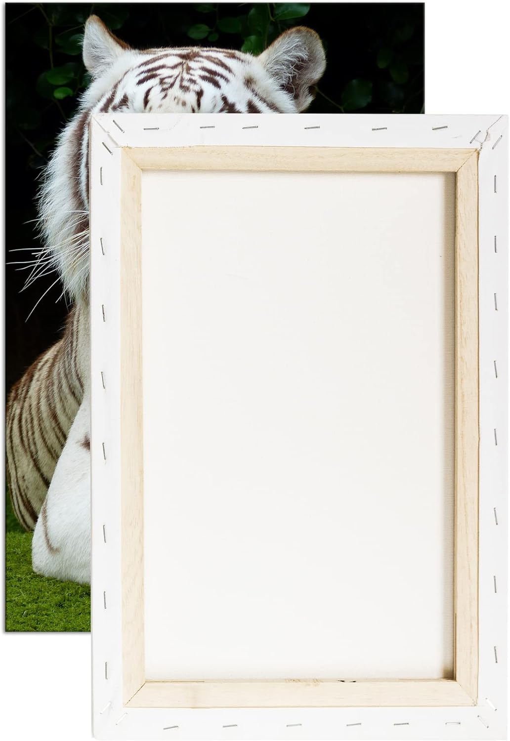 deyoli majestätischer Tiger im Format: 80x60 als Leinwandbild, Motiv fertig gerahmt auf Echtholzrahm
