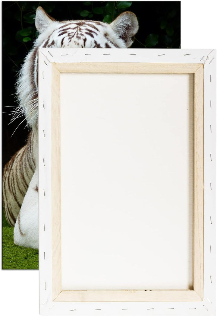 deyoli majestätischer Tiger im Format: 80x60 als Leinwandbild, Motiv fertig gerahmt auf Echtholzrahm