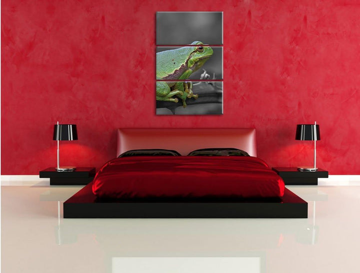 Pixxprint winziger Frosch auf Dornenast als Leinwandbild/Grösse: 3 Teilig (120x80) / Wandbild/Kunstd