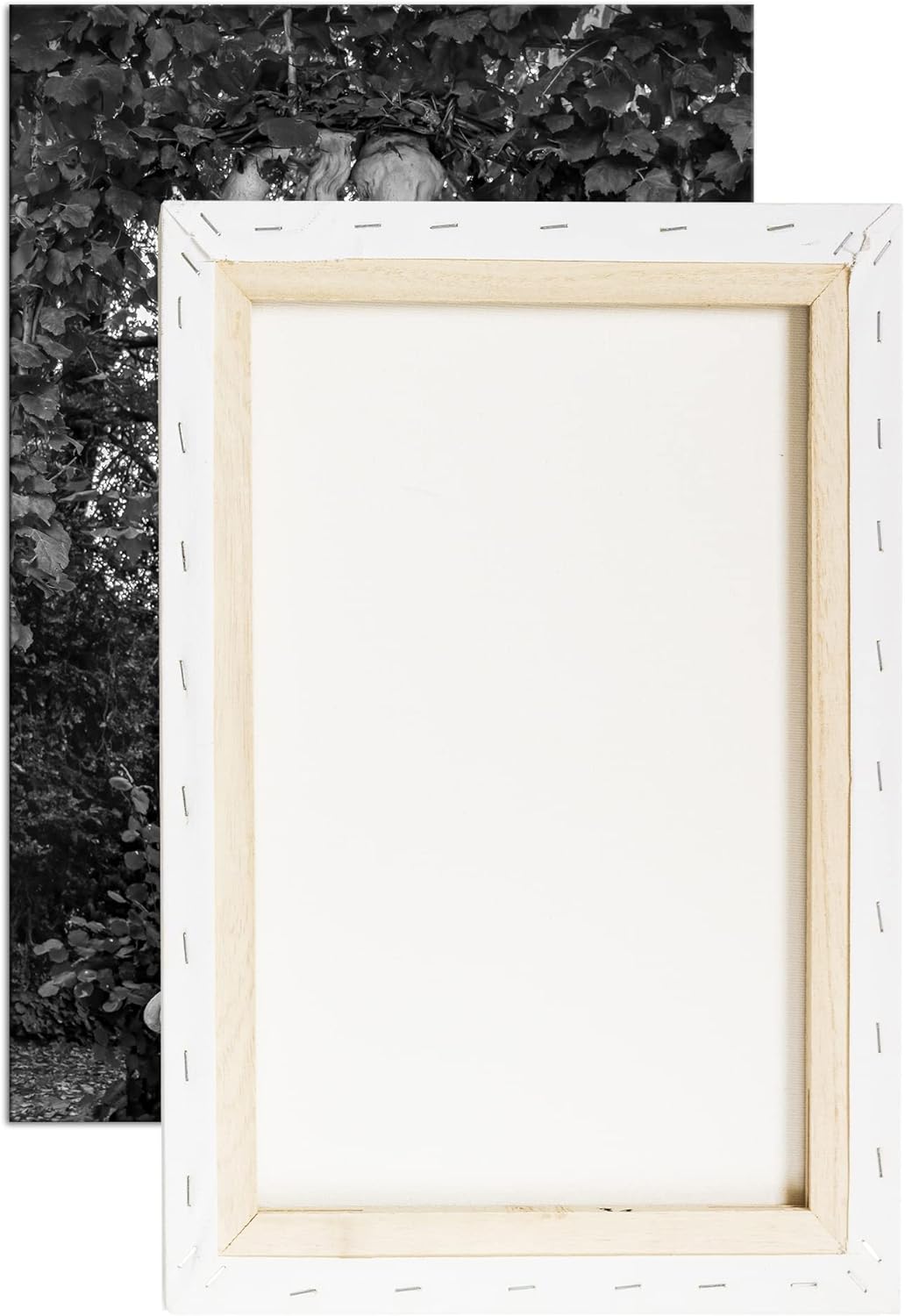 deyoli Skulptur der schönen Aphrodite Format: 80x60 als Leinwand, Effekt: Schwarz&Weiss, Motiv ferti