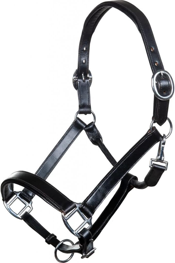 HKM Economic Lederhalfter 9100 Schwarz Pony