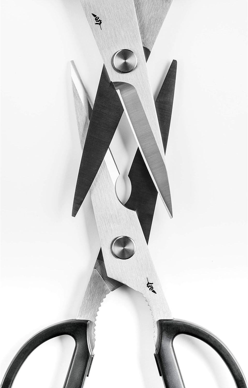 KAI BK-0202 VE5 Michel Bras Kitchen Scissors