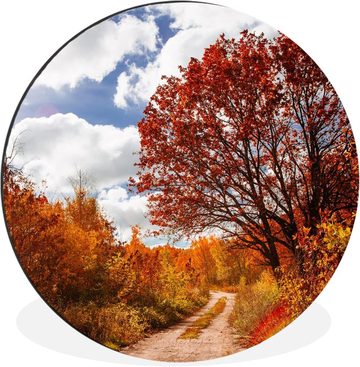 MuchoWow Wandbild Rund Wanddeko Deko Wohnzimmer Bilder 30x30 cm Baum - Weg - Herbst, 30x30 cm