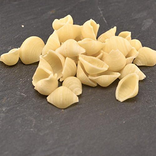Teigwareneinsatz für Kenwood AT910 KAX 910 und Philips Pastamaker Matrize (Conchigliette lisce) Conc