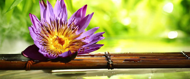 Glasbild Panorama | Wandbild aus Echtglas | Seerose auf Bambus Wellness | 100x40 cm | inkl. Aufhängu