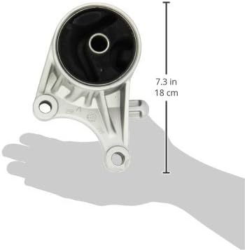 Corteco 80004417 Lagerung, Motor