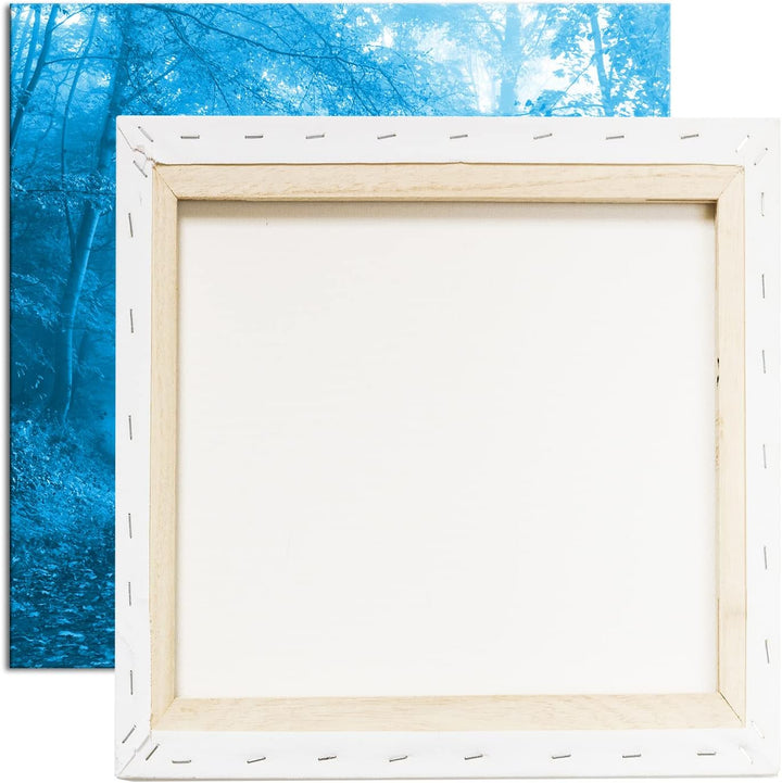 deyoli vernebelter Waldweg im Herbst Format: 60x60 Effekt: Monocrome Blau als Leinwandbild, Motiv fe