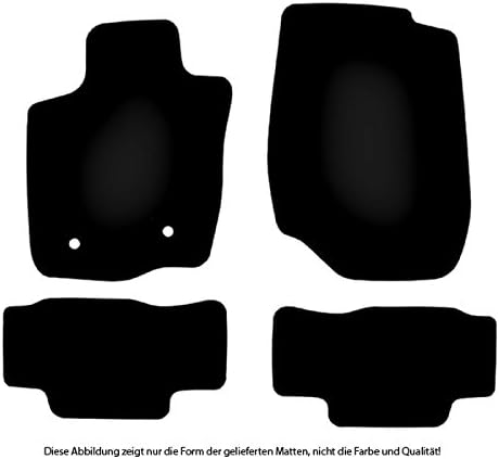 Bär-AfC Auto Fussmatten Doppelrippe passend für Toyota Rav4 Typ 3 / CA30W 2006-2013, Autoteppiche Na