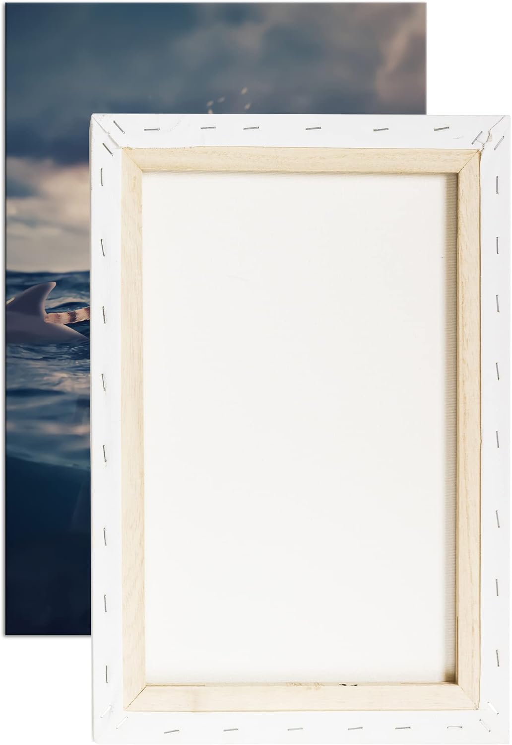deyoli Katze im Hai verseuchten Gewässer Format: 120x80 als Leinwandbild, Motiv fertig gerahmt auf E