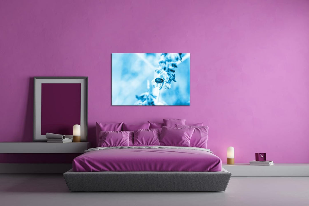 deyoli süsser Marienkäfer auf einem Lavendelzweig Format 120x80 Effekt: Monocrome Blau als Leinwandb