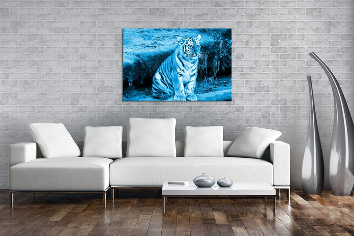 deyoli niedliches Tiger Jungtier Format 80x60 Effekt: Monocrome Blau als Leinwandbild, Motiv fertig