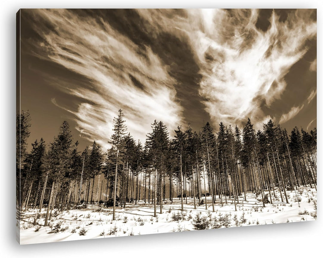 deyoli verschneiter Nadelwald Format: 80x60 Effekt: Sepia als Leinwand, Motiv fertig gerahmt auf Ech