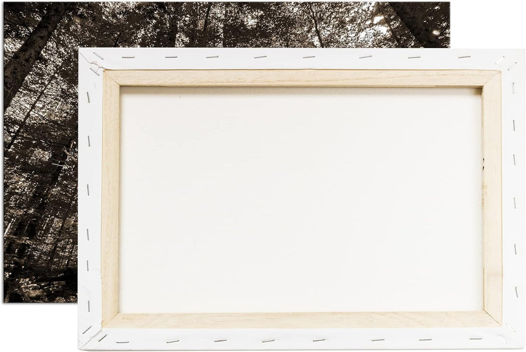 deyoli Wald voller Bäume Format: 80x60 als Leinwand, Effekt: Sepia, Motiv fertig gerahmt auf Echthol