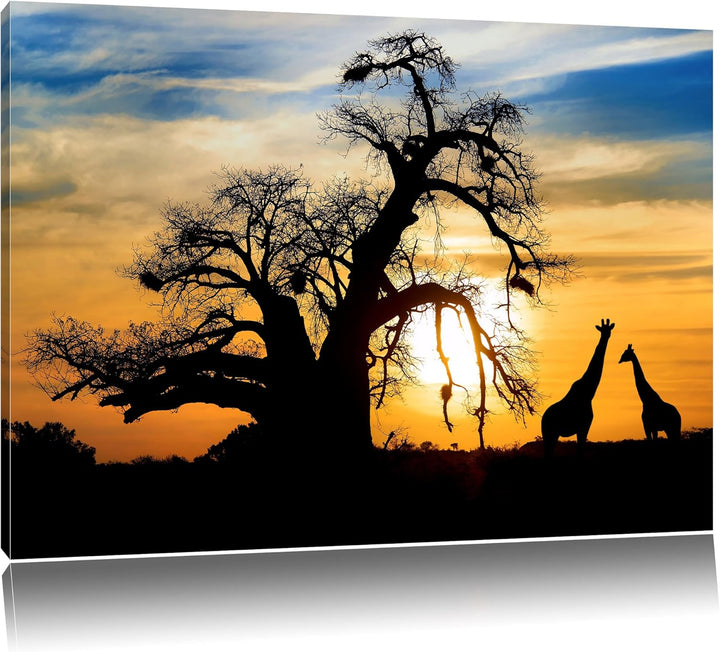 Pixxprint Zwei Giraffen in der Wüste als Leinwandbild/Grösse: 100x70 cm/Wandbild/Kunstdruck/fertig b