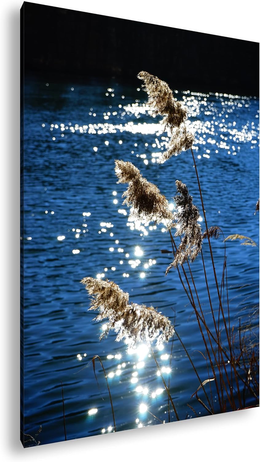 deyoli Schilf mit schimmernden Wasser im Format: 100x70 als Leinwandbild, Motiv fertig gerahmt auf E