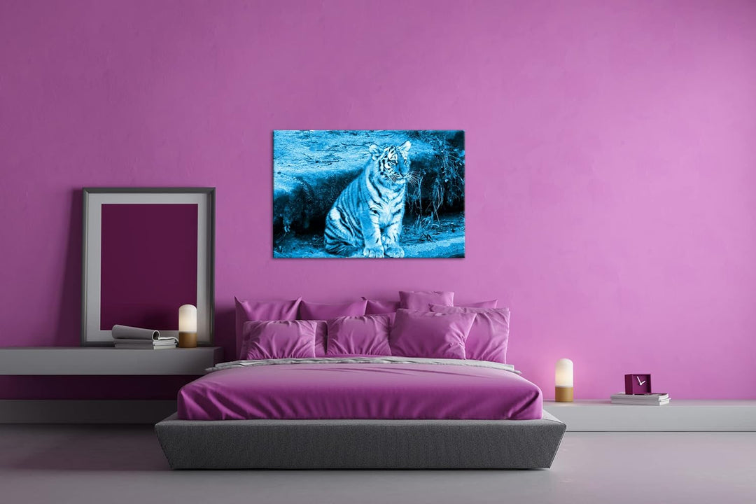 deyoli niedliches Tiger Jungtier Format 80x60 Effekt: Monocrome Blau als Leinwandbild, Motiv fertig