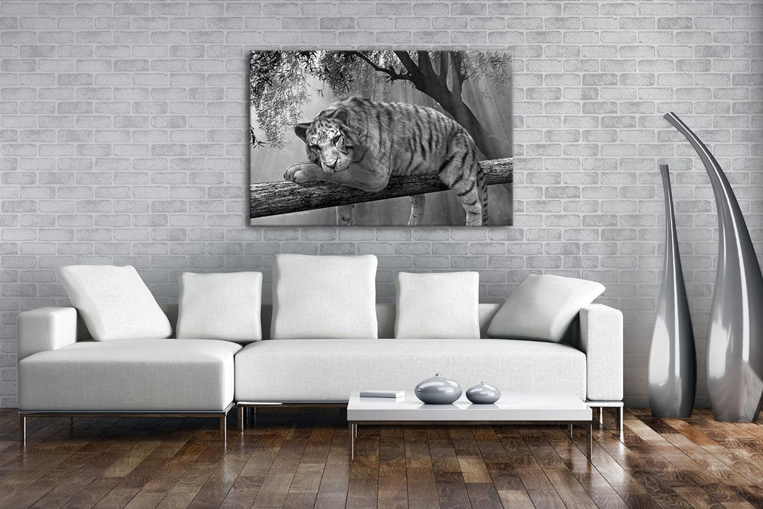 deyoli ruhig liegender weisser Tiger Effekt: Schwarz/Weiss Format: 80x60 als Leinwandbild, Motiv fer
