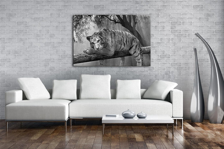 deyoli ruhig liegender weisser Tiger Effekt: Schwarz/Weiss Format: 80x60 als Leinwandbild, Motiv fer
