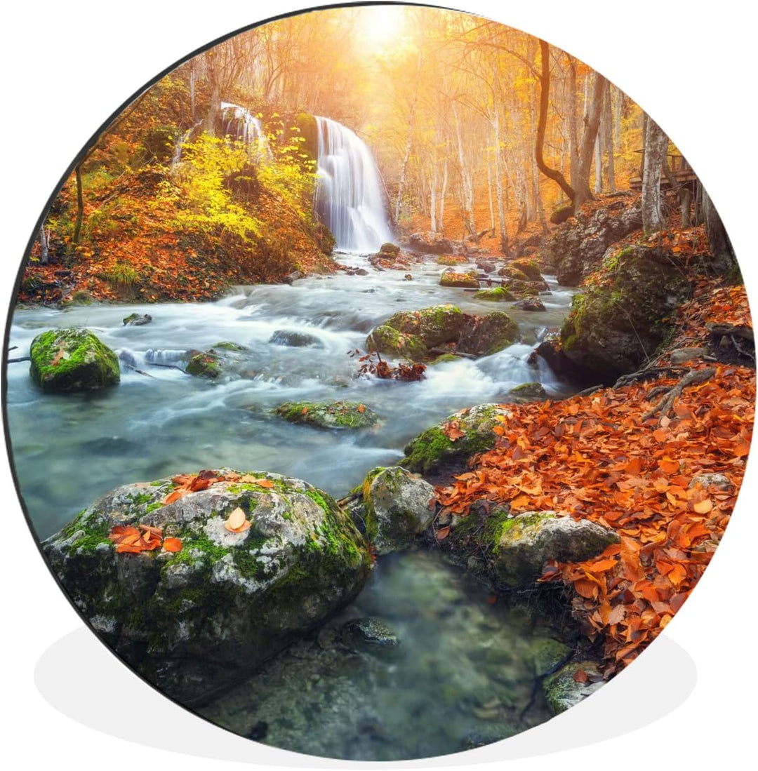 MuchoWow Wandbild Rund Wanddeko Deko Wohnzimmer Bilder 90x90 cm Natur - Sonne - Herbst, 90x90 cm