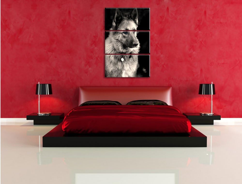 Pixxprint Zwei Hunde auf dem Teppich als Leinwandbild/Grösse: 3 Teilig (120x80 cm) cm/Wandbild/Kunst