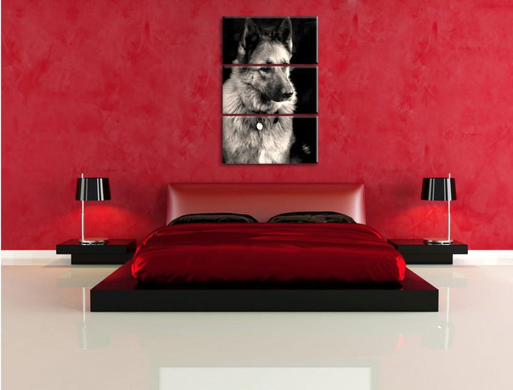 Pixxprint Zwei Hunde auf dem Teppich als Leinwandbild/Grösse: 3 Teilig (120x80 cm) cm/Wandbild/Kunst