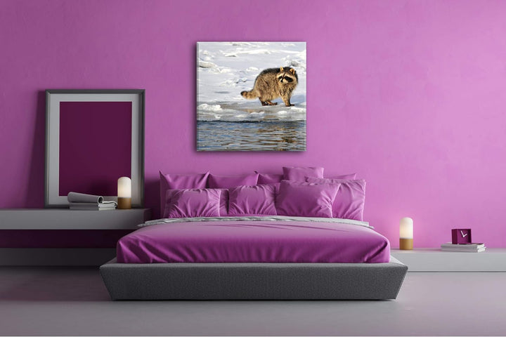 deyoli Niedlicher wachsamer Waschbär Format: 60x60 als Leinwandbild, Motiv fertig gerahmt auf Echtho