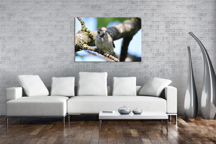 deyoli neugieriger Vogel Format: 60x40 als Leinwandbild, Motiv fertig gerahmt auf Echtholzrahmen, Ho