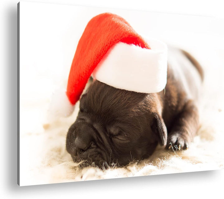deyoli süsser Hund mit Weihnachtsmütze im Format: 80x60 als Leinwandbild, Motiv fertig gerahmt auf E