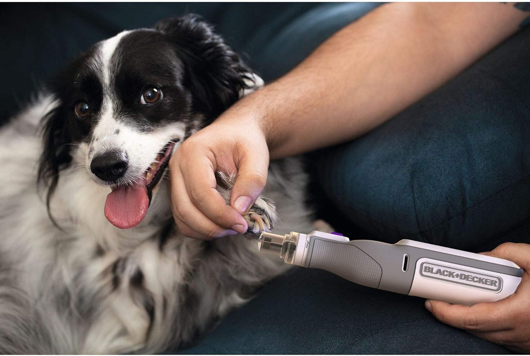 Black+Decker Akku-Multifunktionswerkzeug PET mit 39-tlg. Zubehör BCRT8IPETK (7.2V, 1.5Ah, mit Aufsat