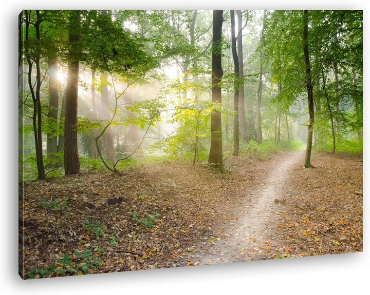 deyoli ruhiger Waldweg Format: 80x60 als Leinwand, Motiv fertig gerahmt auf Echtholzrahmen, Hochwert