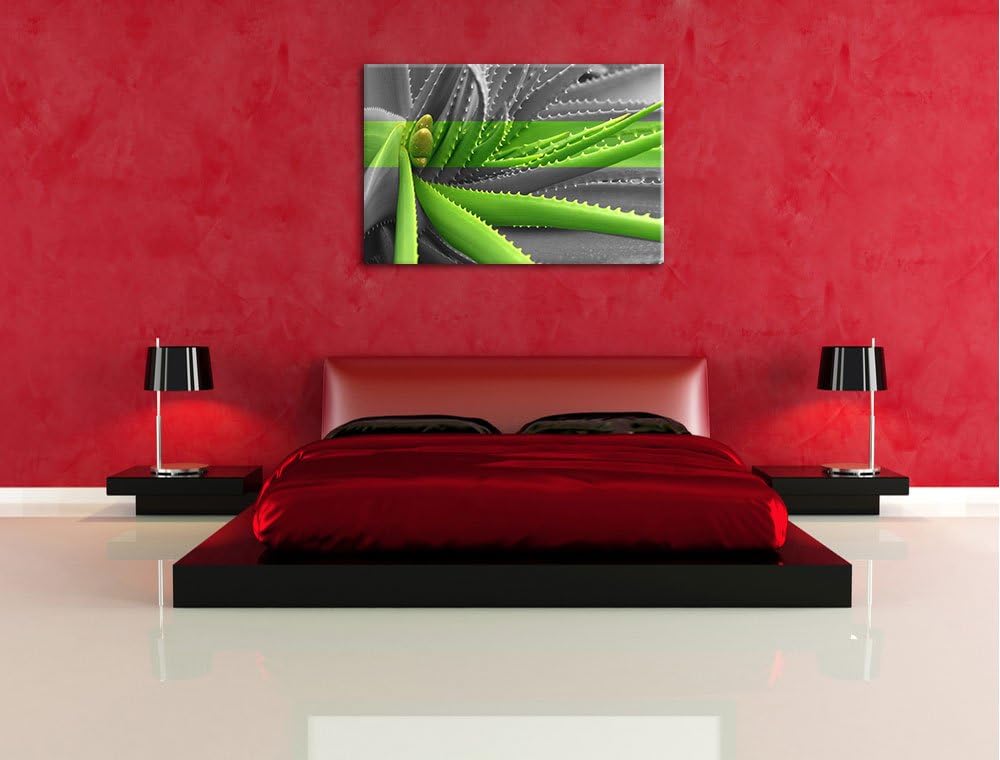 grüne Aloe Vera Pflanze schwarz/weiss Format: 100x70 auf Leinwand, XXL riesige Bilder fertig gerahmt