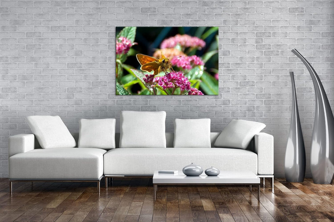 deyoli schöner Falter auf violetter Blume im Format: 80x60 als Leinwandbild, Motiv fertig gerahmt au
