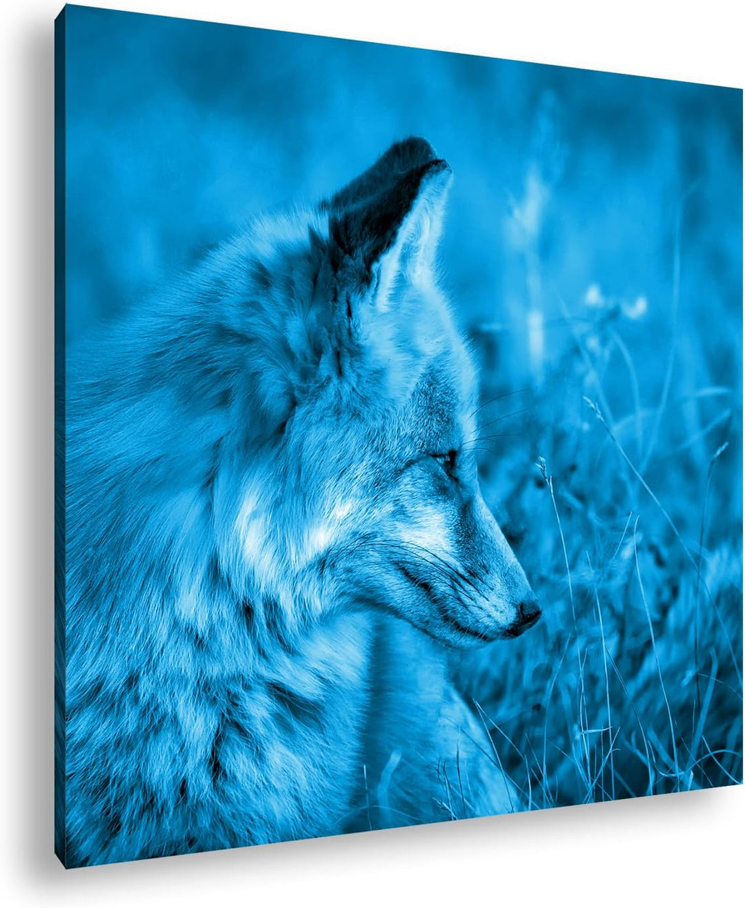deyoli Kleiner Fuchs im Getreidefeld Format: 70x70 Effekt: Monocrome Blau als Leinwandbild, Motiv fe