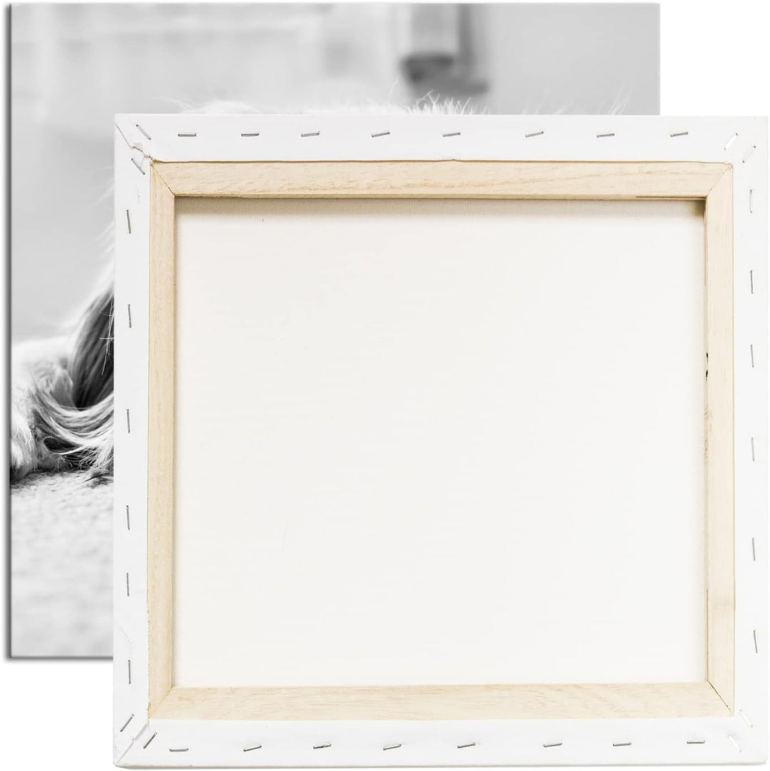 deyoli zauberhafter Cocker Spaniel Effekt: Schwarz&Weiss Format: 70x70 als Leinwandbild, Motiv ferti