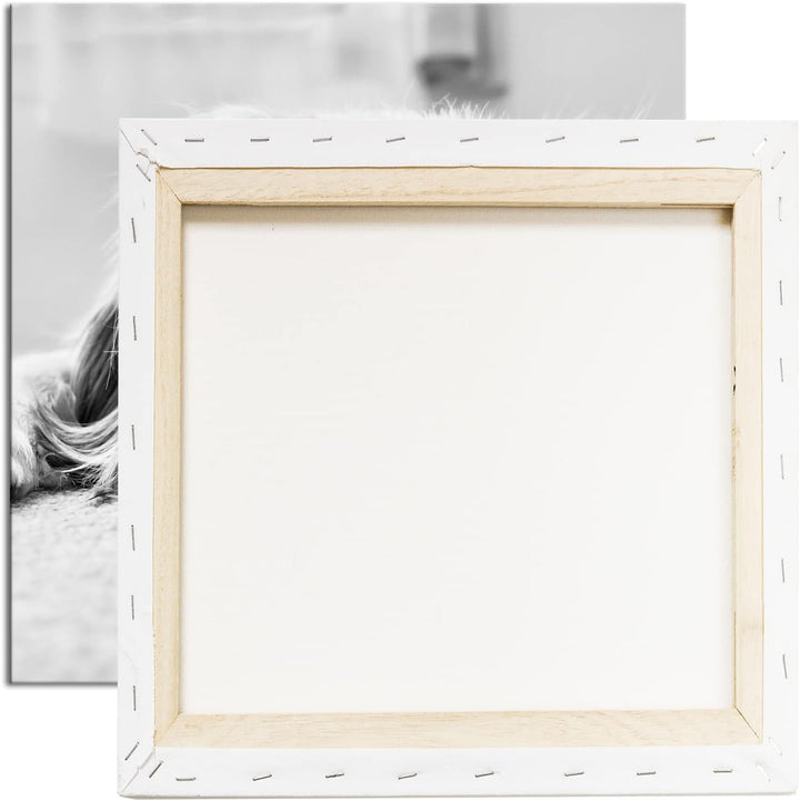 deyoli zauberhafter Cocker Spaniel Effekt: Schwarz&Weiss Format: 70x70 als Leinwandbild, Motiv ferti