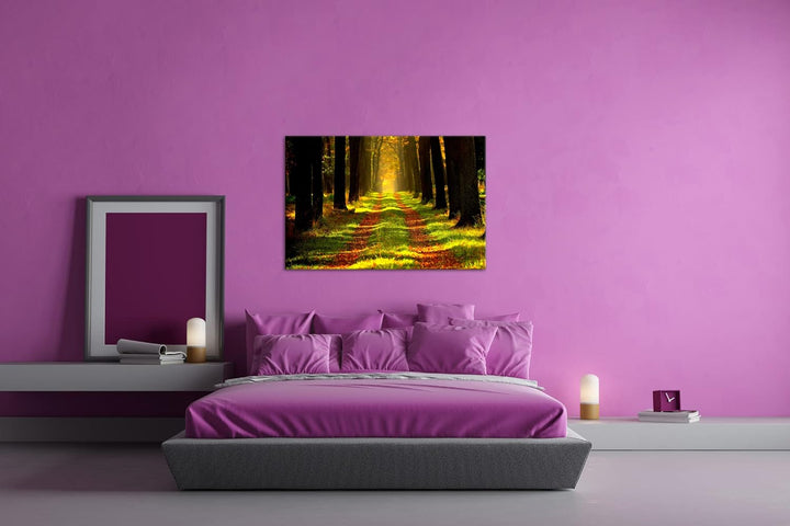 deyoli Waldweg im Herbst Format: 80x60 als Leinwandbild, Motiv fertig gerahmt auf Echtholzrahmen, Ho