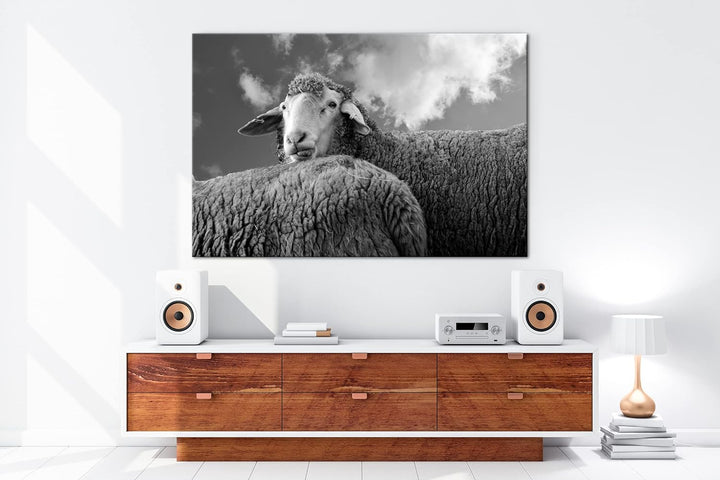 deyoli lustiges Schaf Format:90x60 cm als Leinwandbild, Motiv fertig gerahmt auf Echtholzrahmen, Hoc