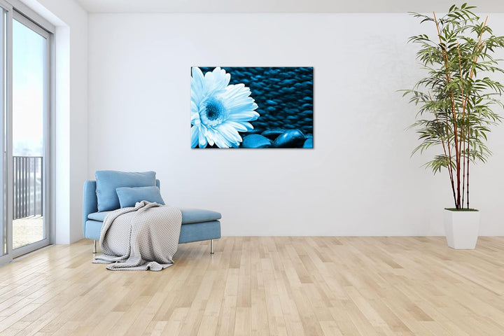 deyoli Weisse Gerbera Format: 80x60 Effekt: Monocrome Blau als Leinwandbild, Motiv fertig gerahmt au