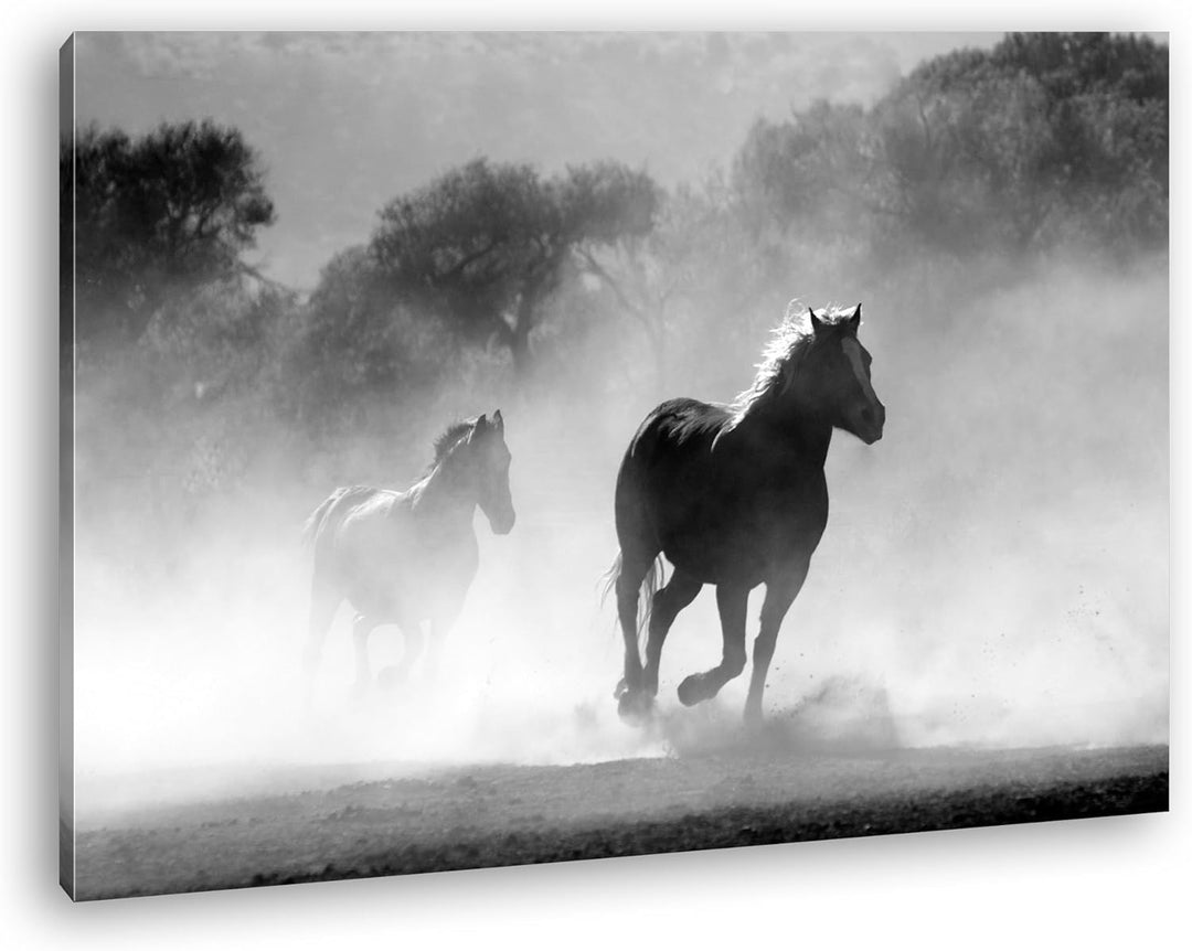 eine Pferdeherde galoppiert durch denn Nebel Format: 80x60 als Leinwandbild, Motiv fertig gerahmt au