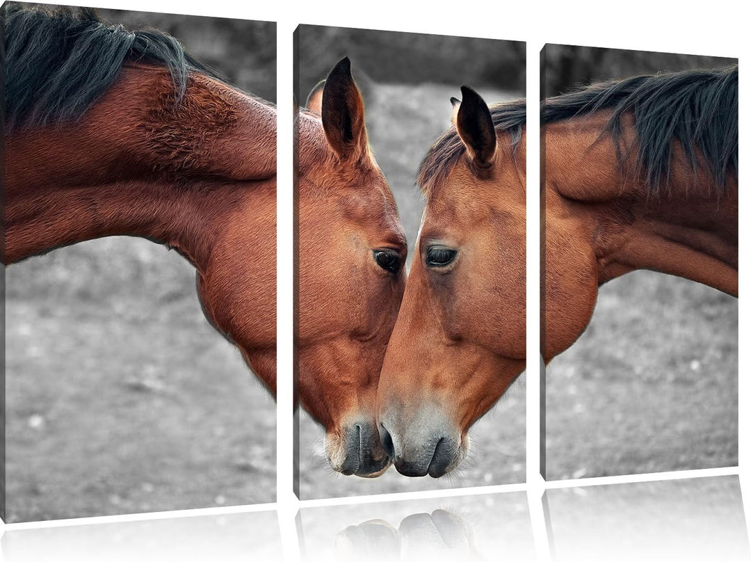 Pixxprint Zwei schmusende Pferde als Leinwandbild/Grösse: 3 Teilig (120x80) cm/Wandbild/Kunstdruck/f