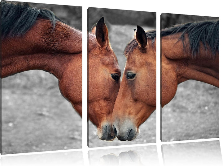 Pixxprint Zwei schmusende Pferde als Leinwandbild/Grösse: 3 Teilig (120x80) cm/Wandbild/Kunstdruck/f