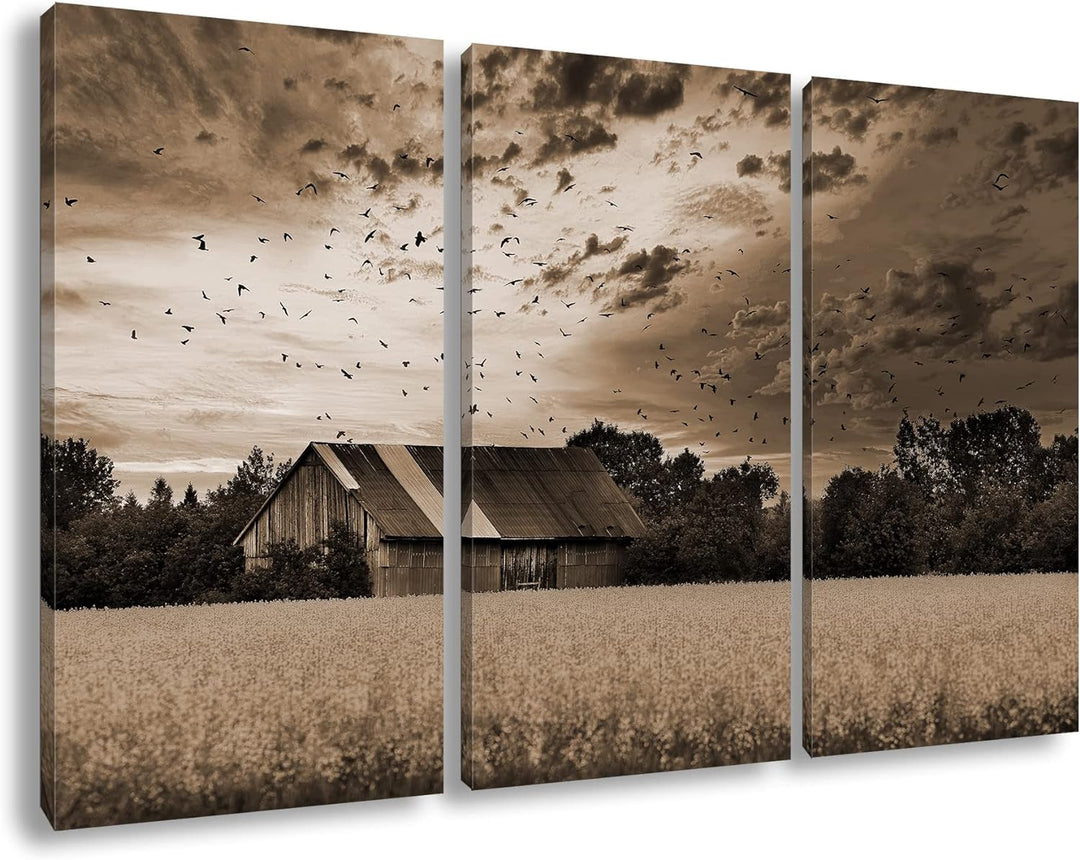 deyoli Scheune am blühendem Feld Effekt: Sepia Format: 3Teilig als Leinwandbild, Motiv fertig gerahm