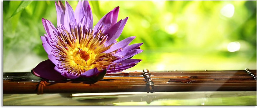 Glasbild Panorama | Wandbild aus Echtglas | Seerose auf Bambus Wellness | 100x40 cm | inkl. Aufhängu