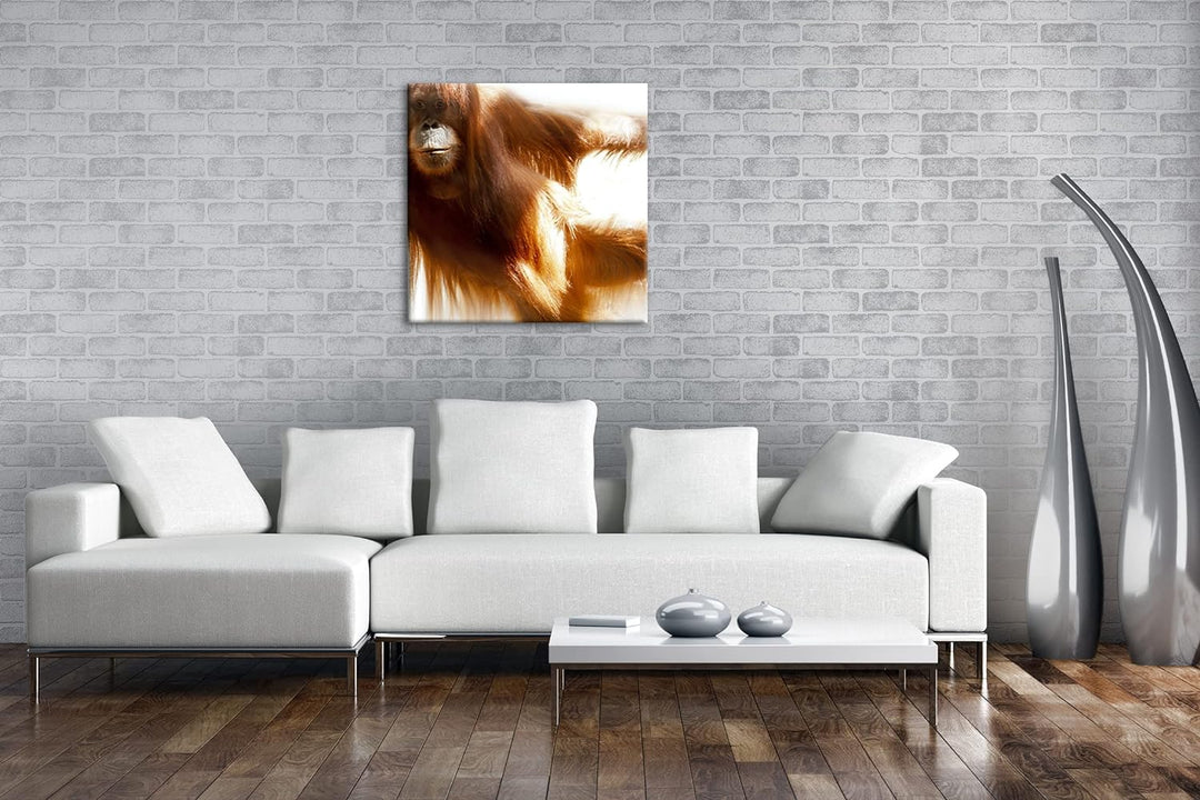 deyoli lustiger Schimpanse Format: 70x70 als Leinwandbild, Motiv fertig gerahmt auf Echtholzrahmen,