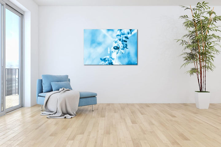 deyoli süsser Marienkäfer auf einem Lavendelzweig Format 120x80 Effekt: Monocrome Blau als Leinwandb