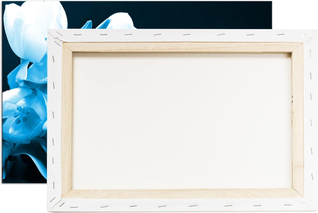 deyoli Tulpen Sweet Home Format: 100x70 Effekt: Monocrome Blau als Leinwand, Motiv fertig gerahmt au