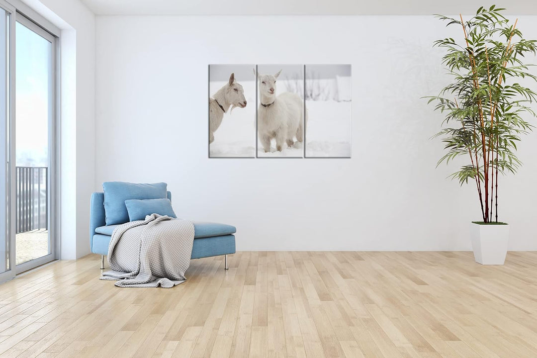 deyoli weisse Ziegen im Schnee Format: 3-teilig 120x80 als Leinwand, Motiv fertig gerahmt auf Echtho