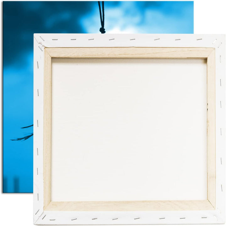 deyoli Traumfänger im Wind Format: 70x70 Effekt: Zeichnung als Leinwandbild, Motiv auf Echtholzrahme