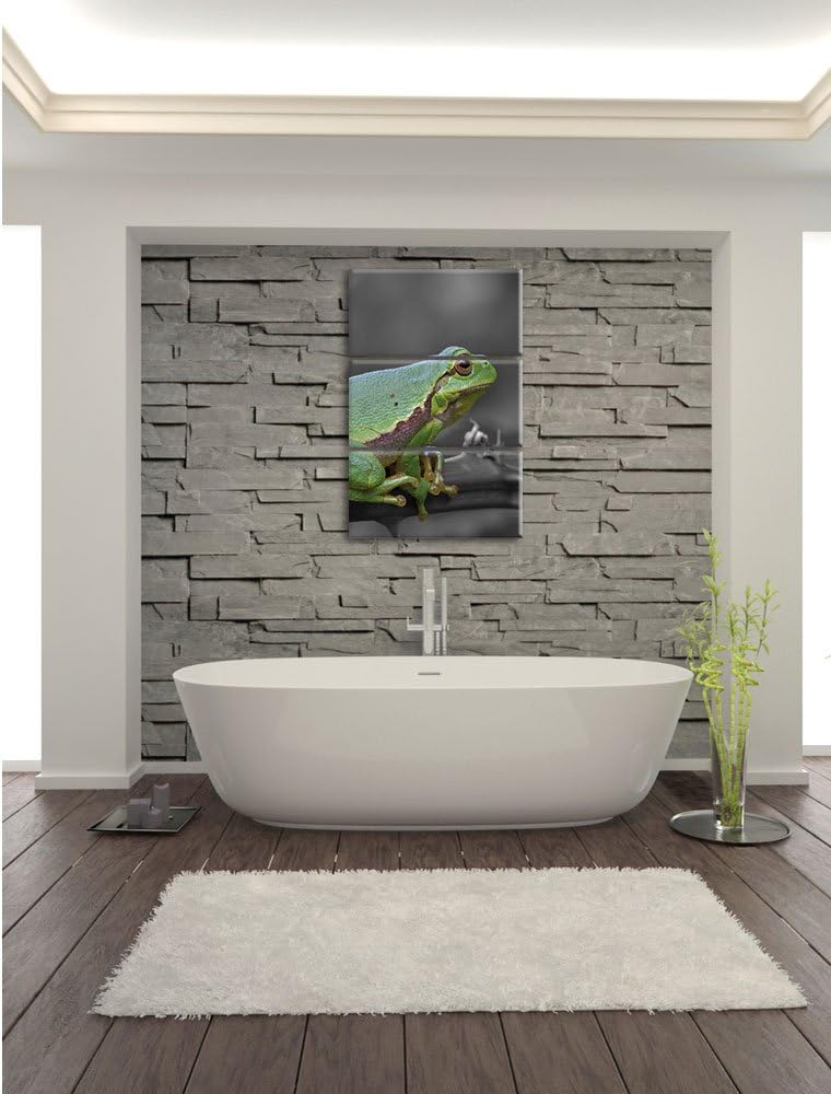 Pixxprint winziger Frosch auf Dornenast als Leinwandbild/Grösse: 3 Teilig (120x80) / Wandbild/Kunstd